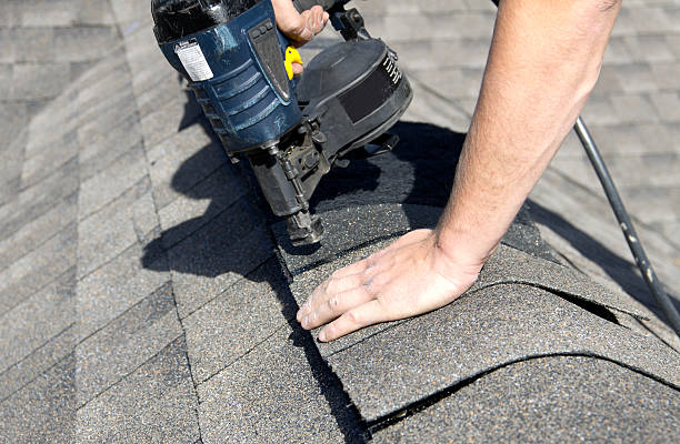 Best Roof Maintenance and Cleaning  in Clio, MI